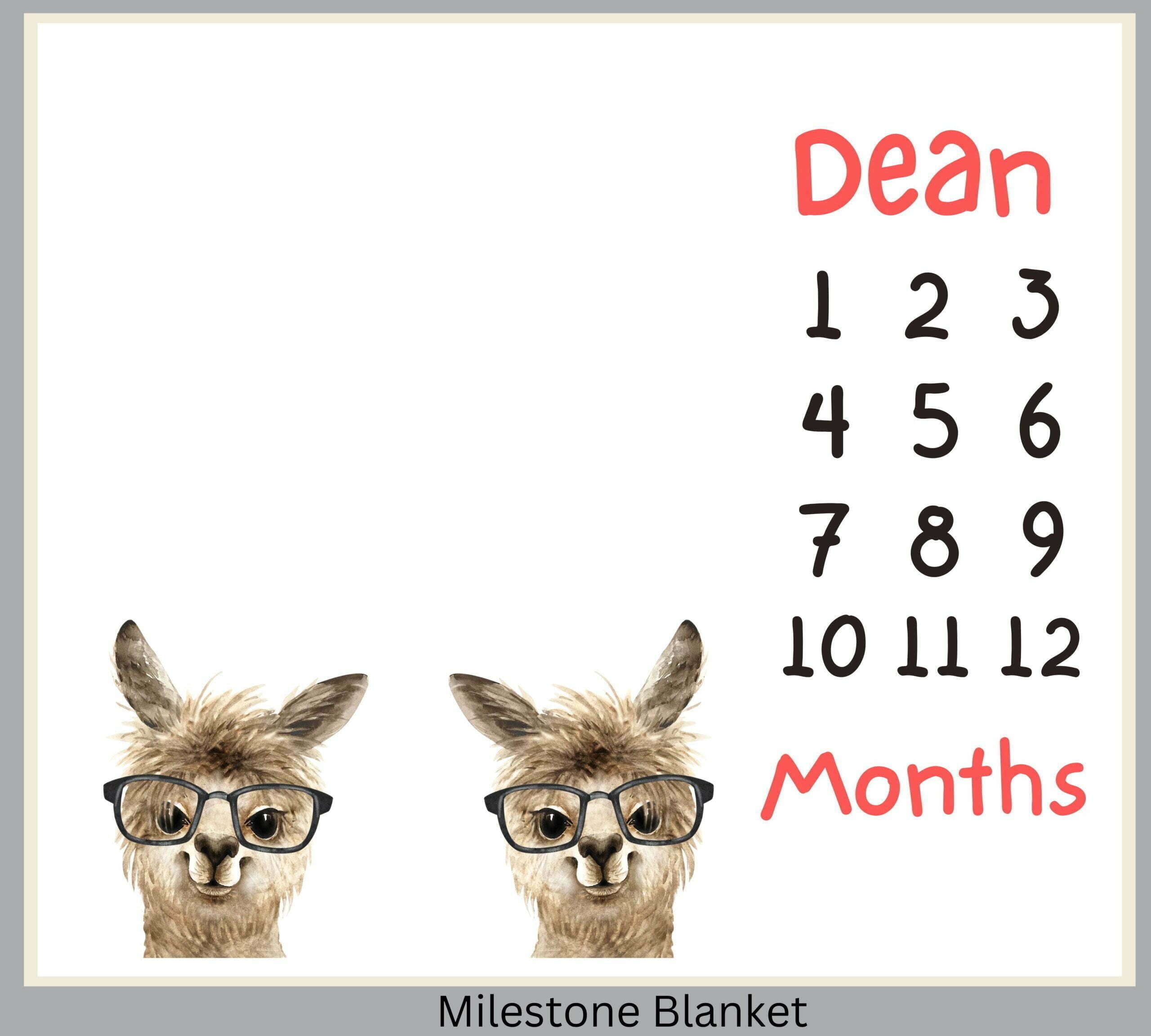 Llama Boys Milestone Blanket Eng