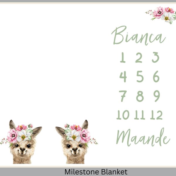 Girly Llama Milestone Blanket Afr