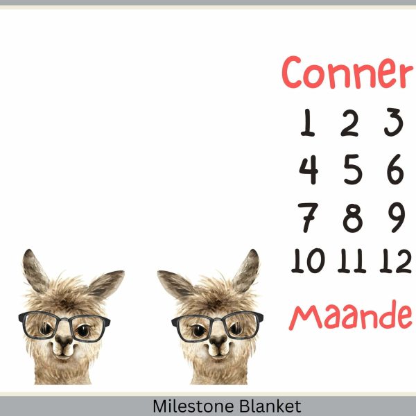 Llama Boys Milestone Blanket Afr