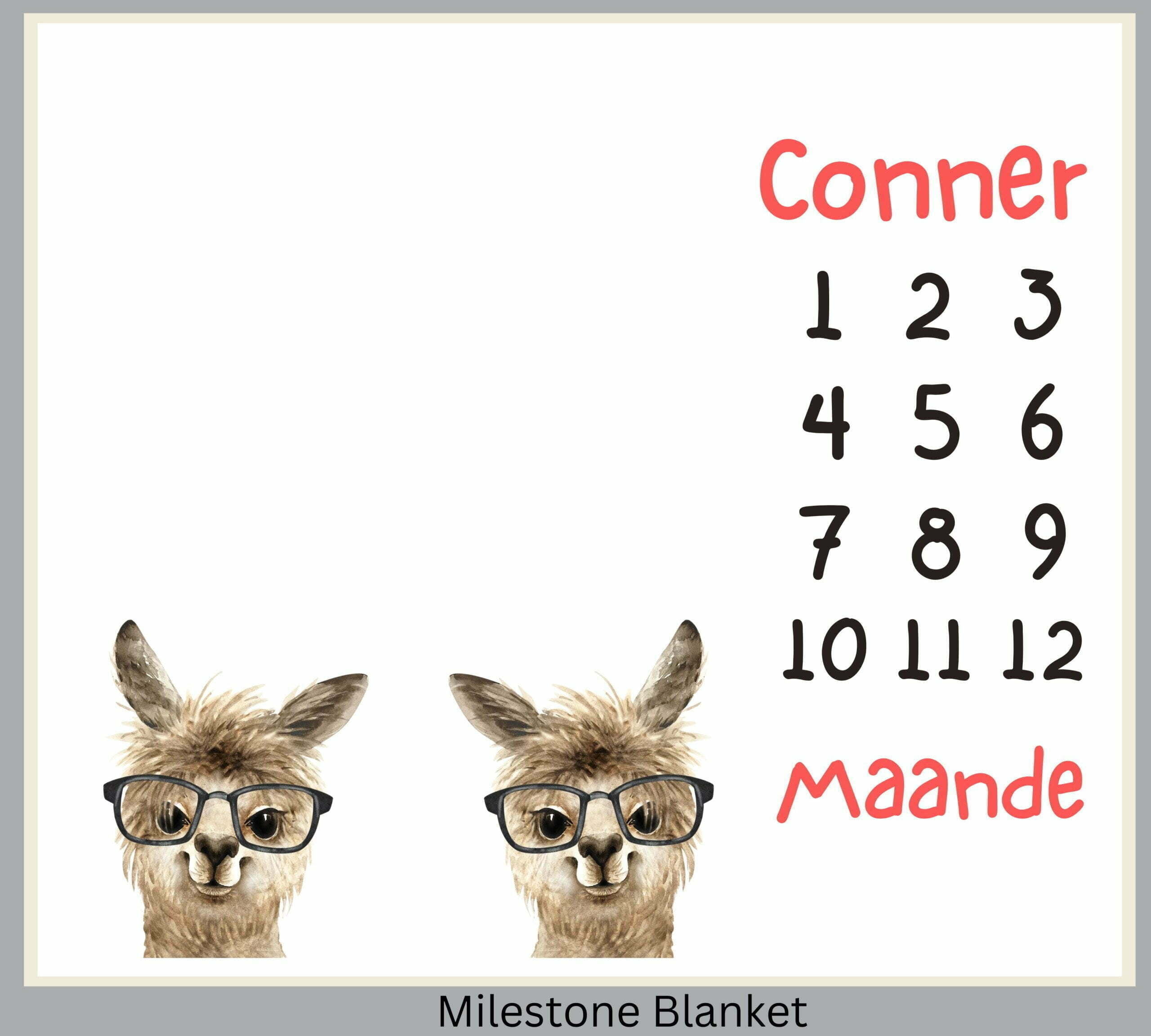 Llama Boys Milestone Blanket Afr