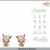 Girly Llama Milestone Blanket Eng