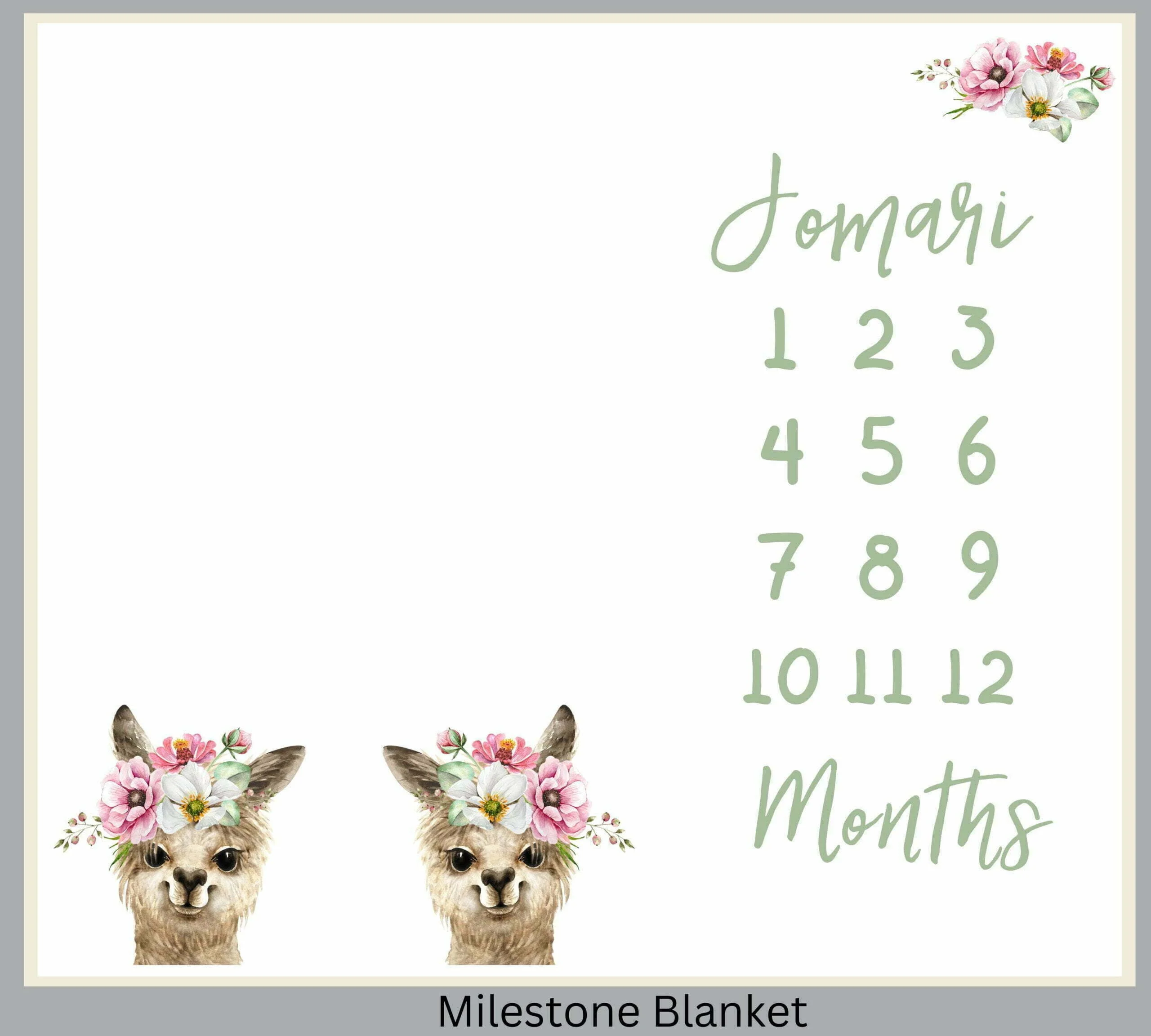 Girly Llama Milestone Blanket Eng