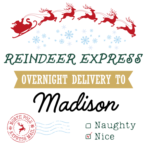 Reindeer Express Christmas Sack Design - Eng