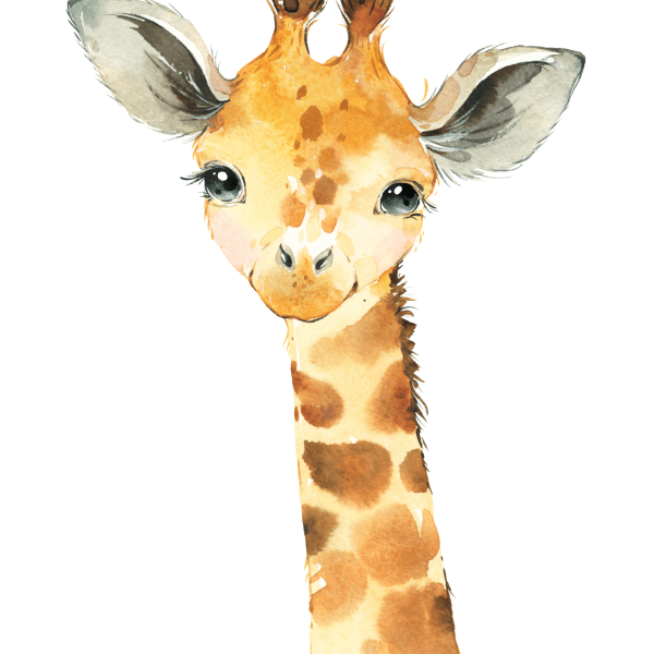 African Animals Boys Set Theme 3