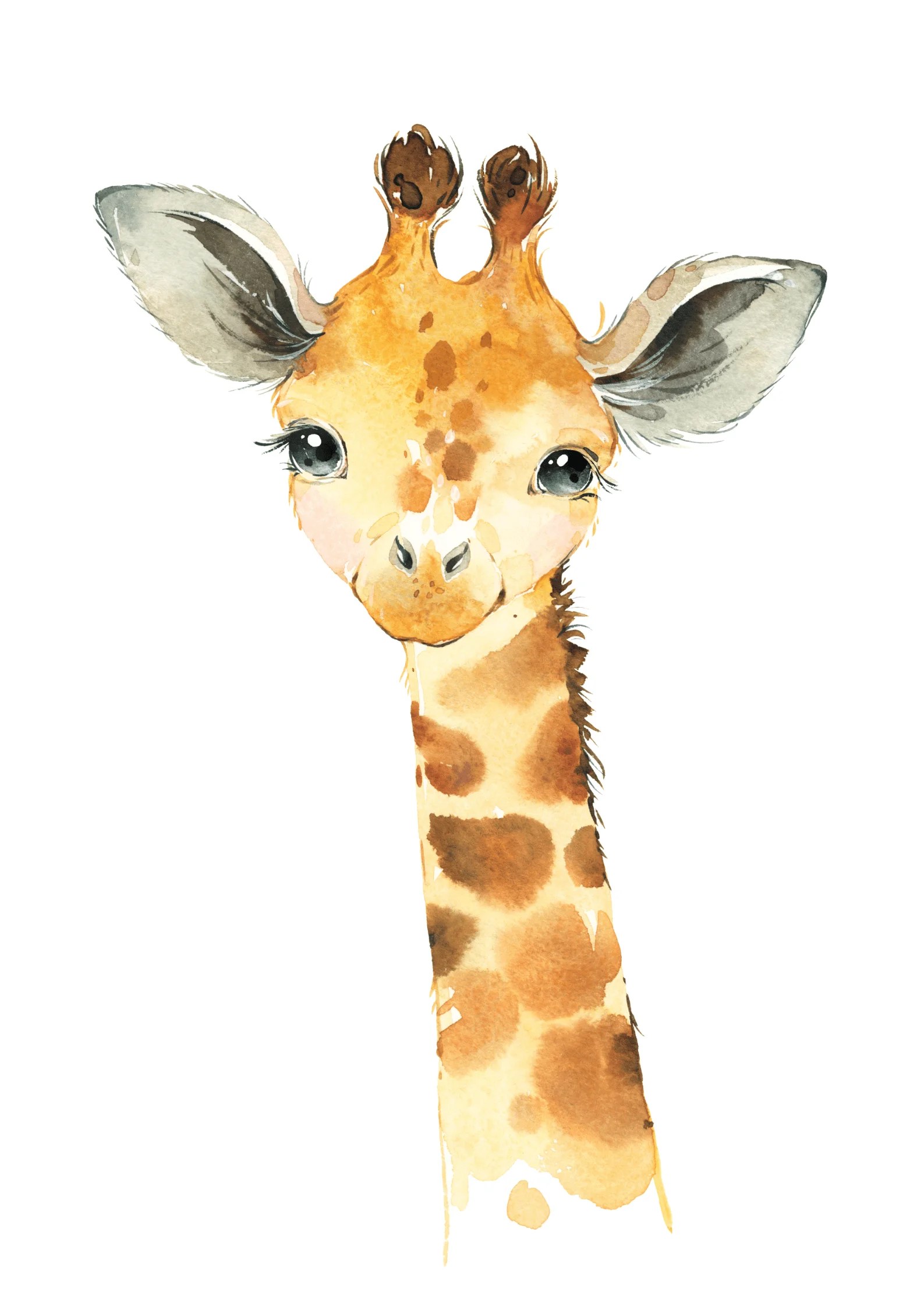 African Animals Boys Set Theme 3