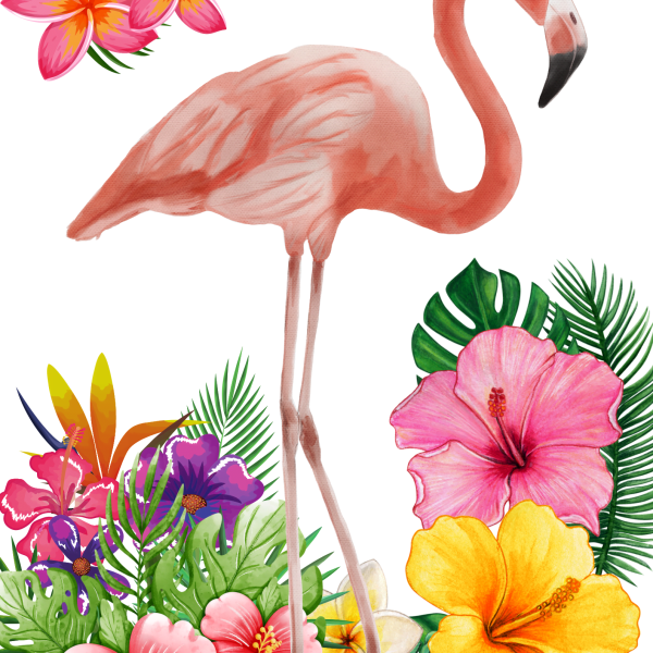 Pink Flamingo Theme Canvas