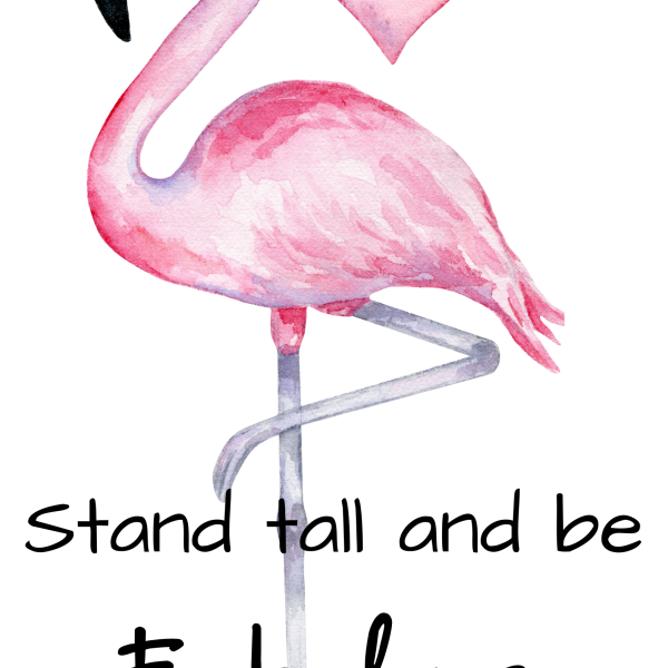 Pink Flamingo Theme Canvas