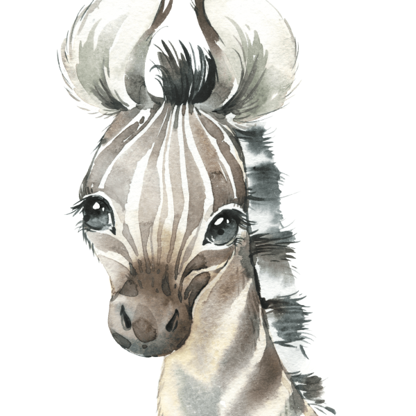 African Animals Boys Set Theme 3