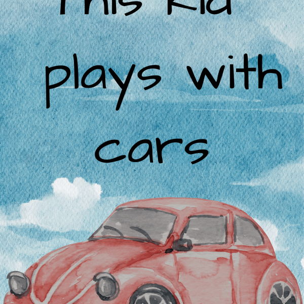 Decorative Car Canvas Theme