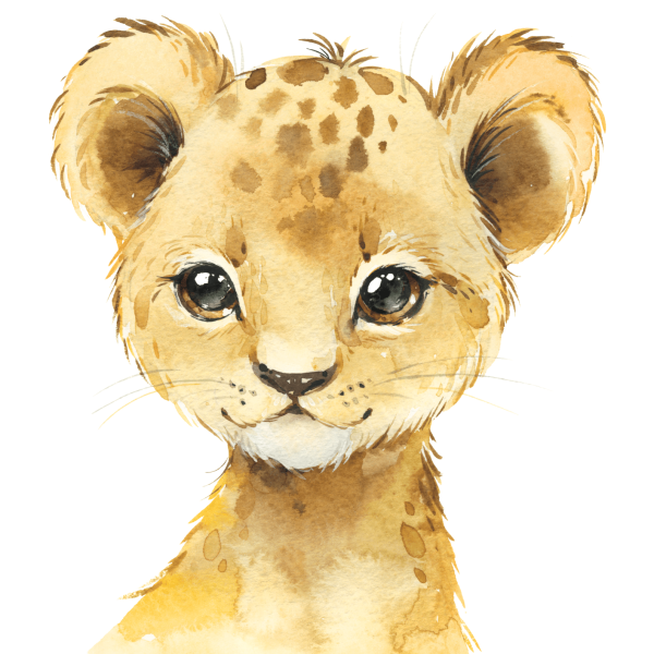 African Animals Boys Set Theme 3