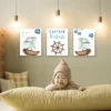 Sailors Canvas Theme 3