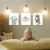 AfricAfrican Animals African Animals Boys Set Theme 1Boys Set Theme 1an Animals Boys Set Theme 1