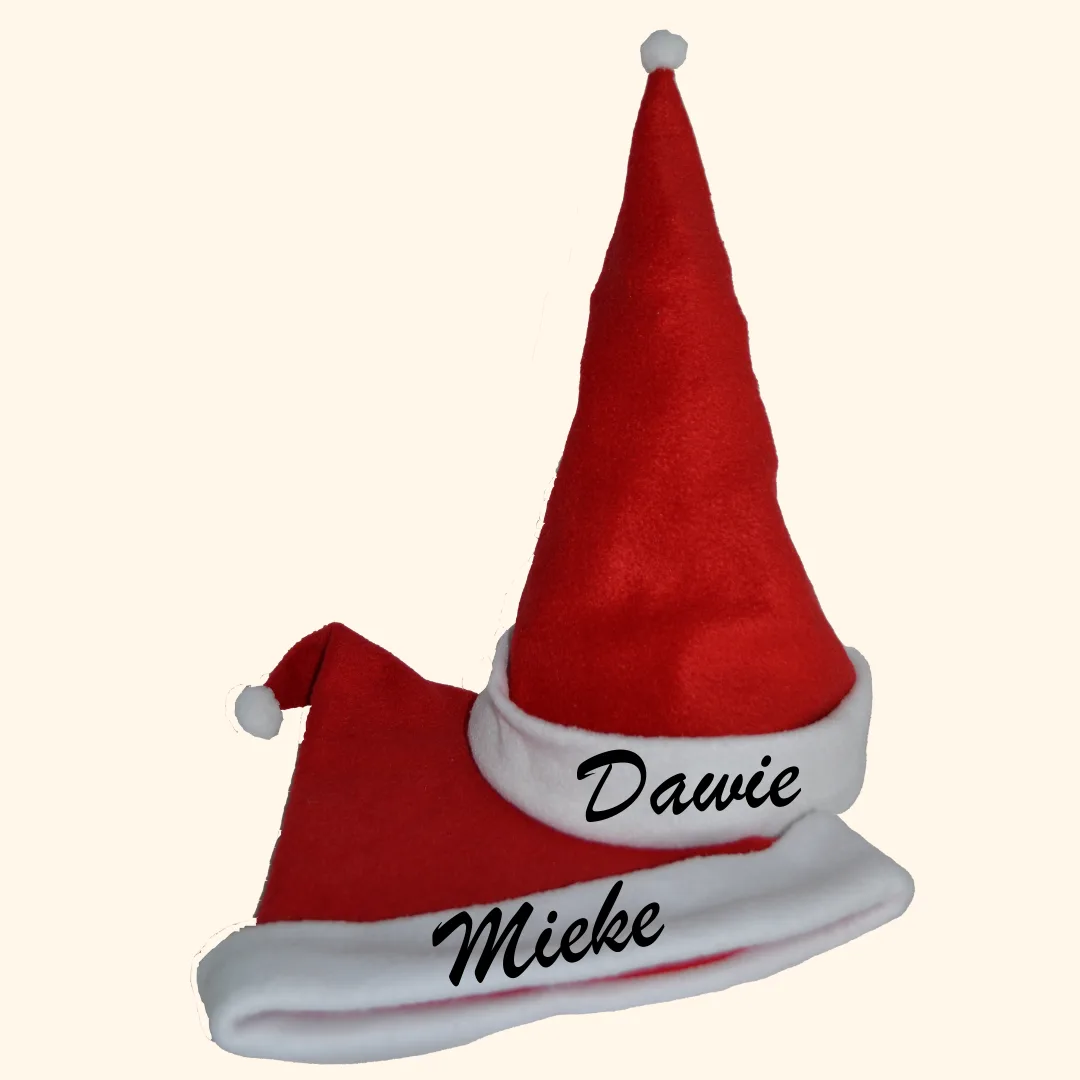 Santa Hat Adults