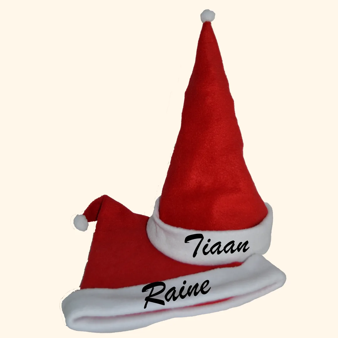 Santa Hat Adults