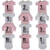 Milestone onesie cute animals