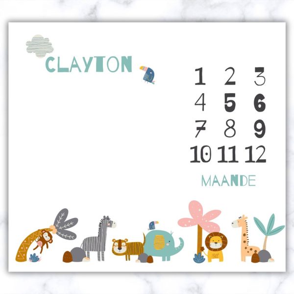 Animal Theme Milestone Blanket - Afr