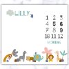Animal Theme Milestone Blanket - Eng