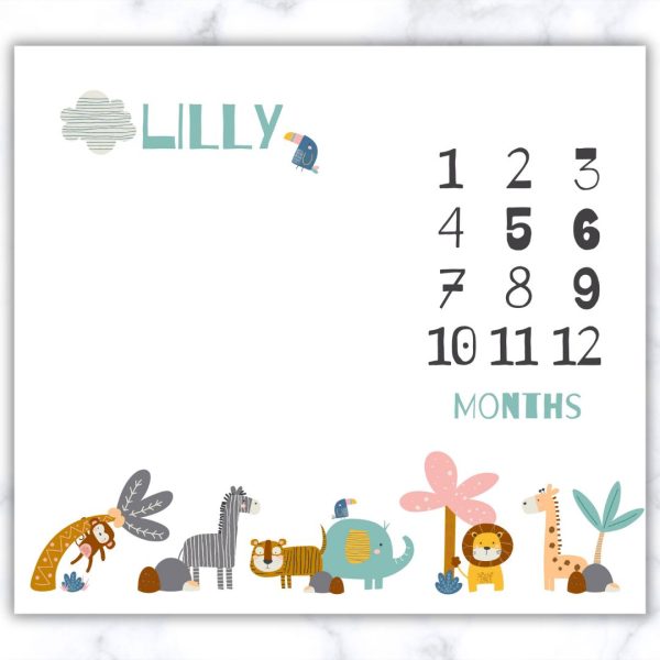 Animal Theme Milestone Blanket - Eng