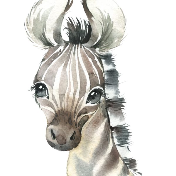 African Animals Canvas Individuals