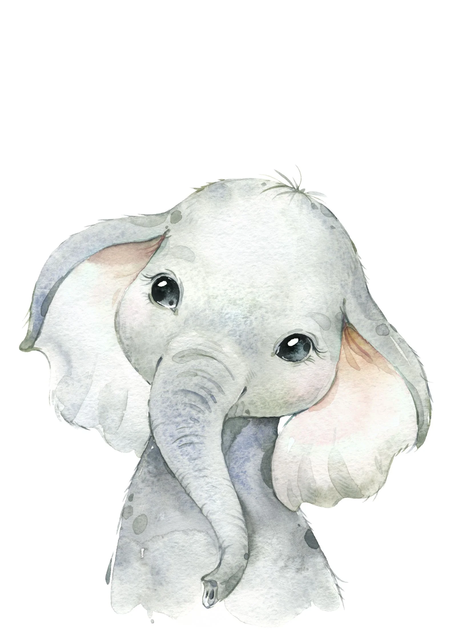 African Animals Canvas Individuals