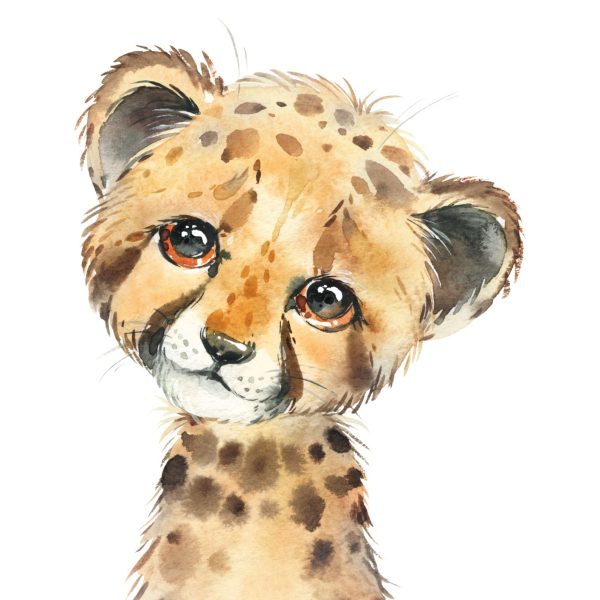 African Animals Canvas Individuals