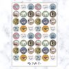Arctic Animals Stickers