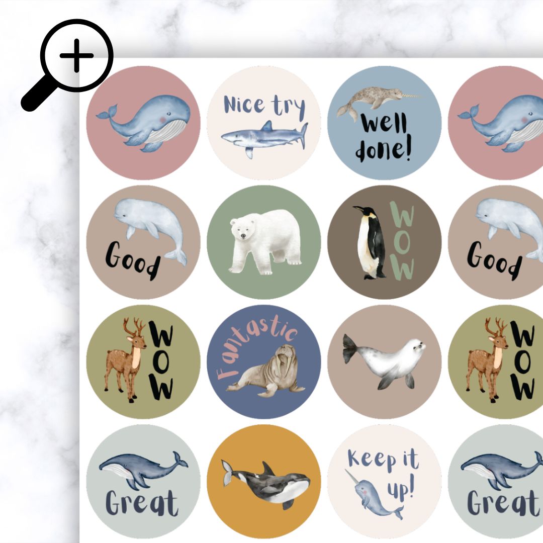 Arctic Animals Zoomed In