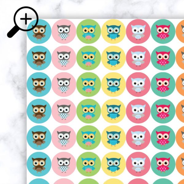 Owl Minis Zoomed In