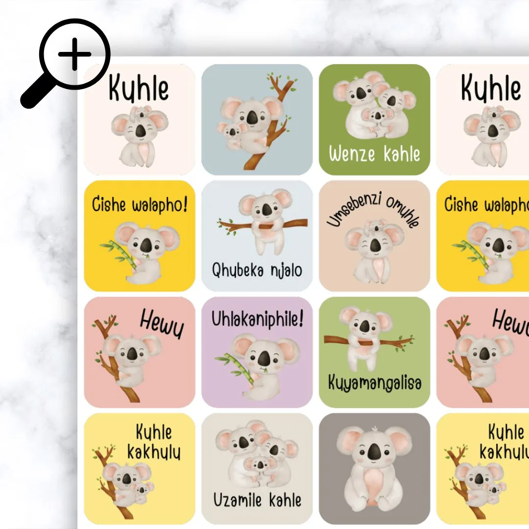 Koala Bear - isiZulu Zoomed In
