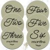 Milestone Disks - Olive color