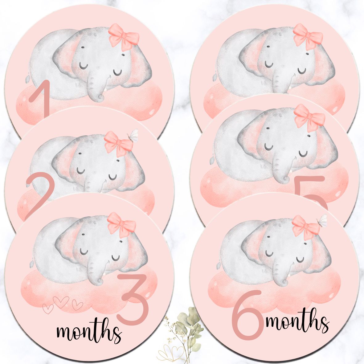 Elephant Theme Milestone Disks