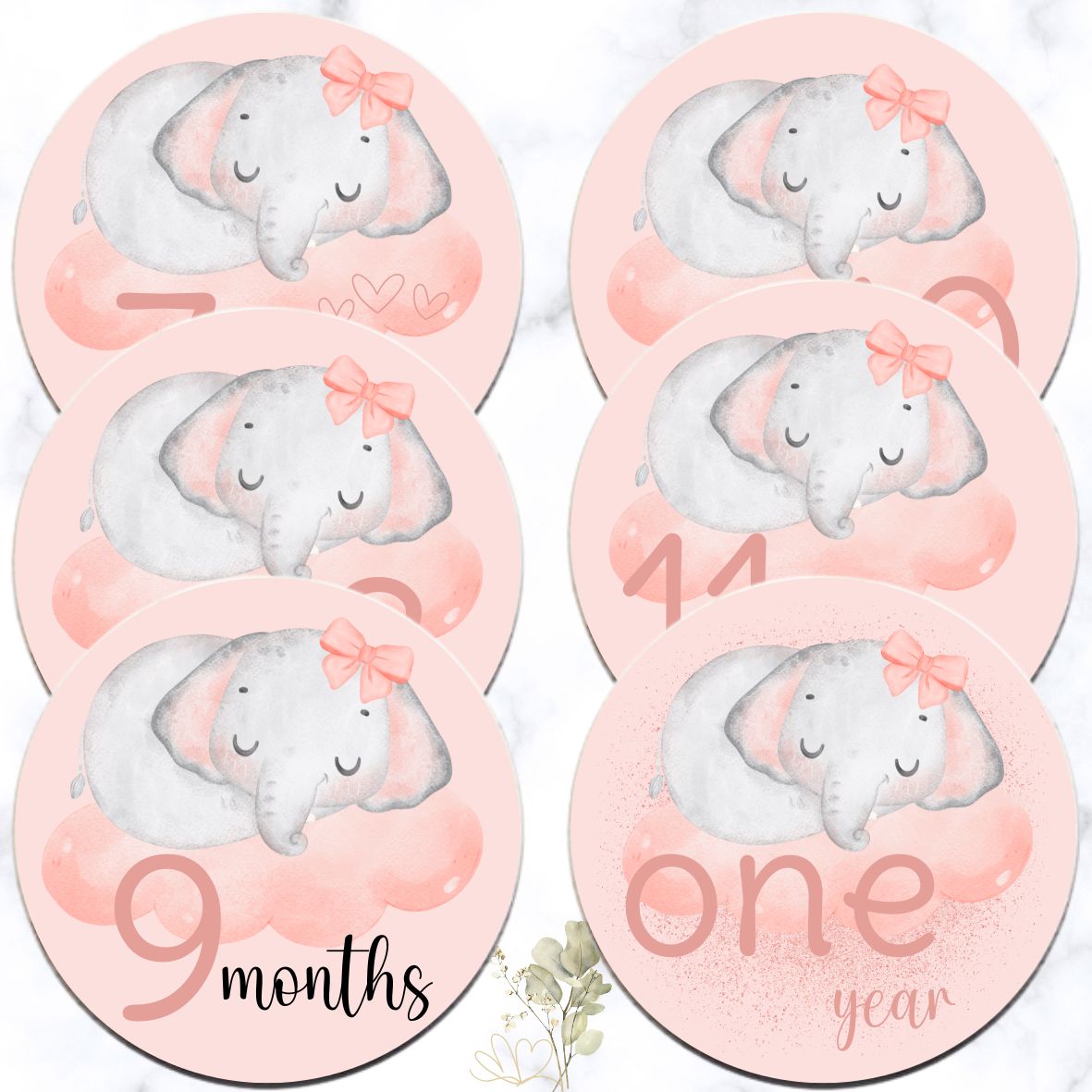Elephant Theme Milestone Disks