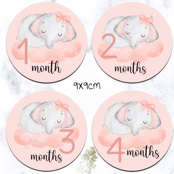 Elephant Theme Milestone Disks