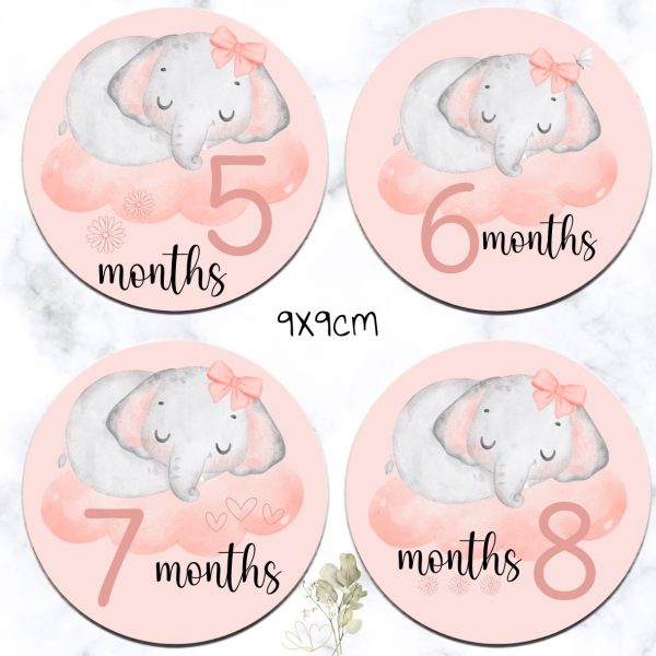 Elephant Theme Milestone Disks