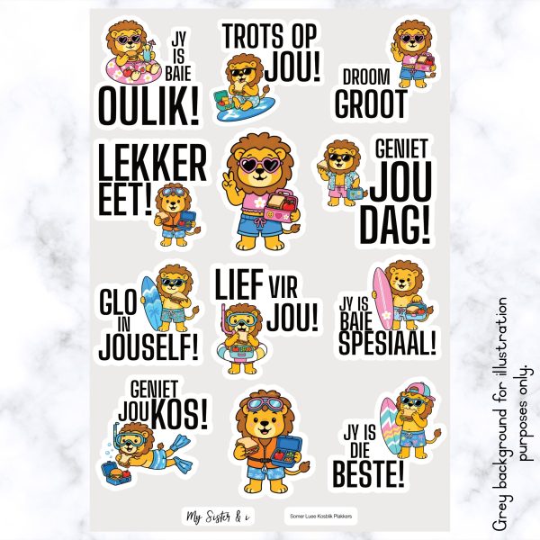 Somer Leeus Kosblik Plakkers