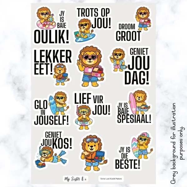 Somer Leeus Kosblik Plakkers